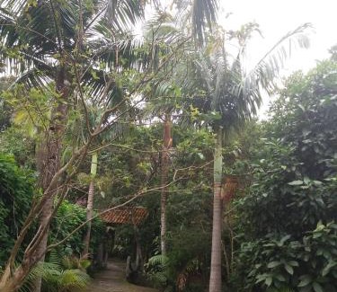 Paranagua Hotel | Ocean View Retreat at Pousada do Carlito - Guest Rated 10/10