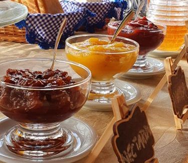 Carvalhos Hotel | Pet-Friendly Pousada do Morro Verde with Breakfast Included