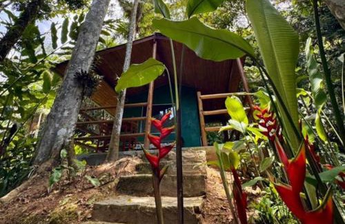 Trindade Hotel | Trindade's Pousada do Riacho: Ocean View & Poolside Relaxation