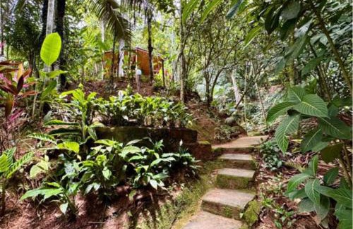 Trindade Hotel | Trindade's Pousada do Riacho: Ocean View & Poolside Relaxation