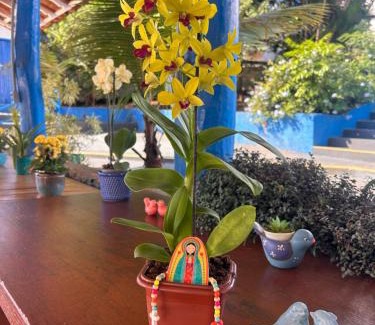Centro Hotel | Guest Rated: Pousada Doce Villa with Oceanfront Pool