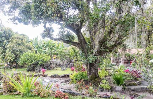 Igatu Hotel | Welcoming Pousada Dona Lita: Pet-Friendly & Family-Oriented