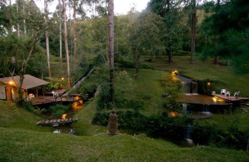 Cunha Hotel | Oceanfront Retreat at Pousada dos Anjos with Spa & Pool