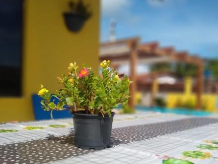 Rio Tinto Apartment | Discover Pousada dos Sonhos: Ocean View & Pet-Friendly Escape