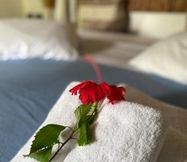 Garca Torta Hotel | Elegant Pousada Residencia Duna Paraiso with Ocean Views