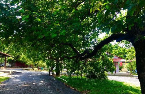 Mambai Cabin | Pet-Friendly Comfort at Mambaí Inn with Family Amenities