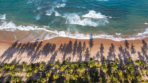 Barra Grande Hotel | Stunning Pousada Encanto da Lua with Ocean View & Pool