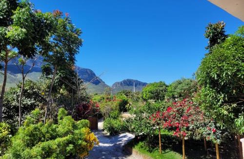 Ibicoara House | Discover Pousada Encanto dos Mognos: Pet-Friendly Retreat