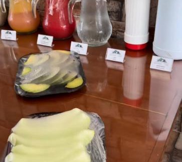 Ibicoara House | Discover Pousada Encanto dos Mognos: Pet-Friendly Retreat