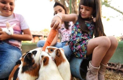 Saire Hotel | Unforgettable Getaway at Pousada Fazenda Santa Fe