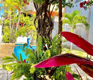 Conjunto ALAGAMAR Hotel | Relax at Pousada Flor de Ponta Negra with Ocean Views