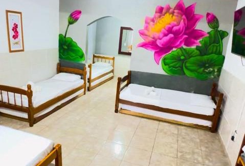 Tucuns Hotel | Pet-Friendly Pousada Flora Búzios with Oceanfront Pool