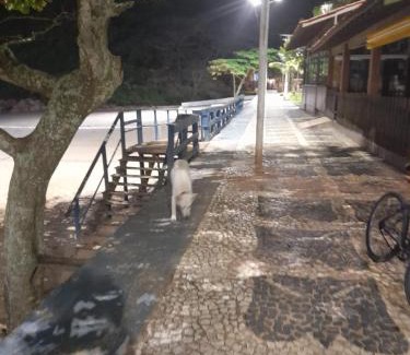 Tombo Hotel | Beachfront Bliss at Pousada Good Times - Rated 9/10