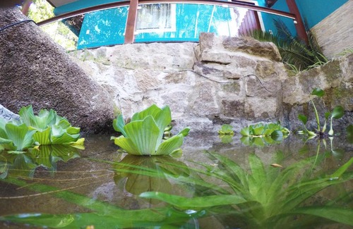 Ilha Grande Hotel | Ocean View Family Retreat at Pousada Guapuruvu - Rated 9/10