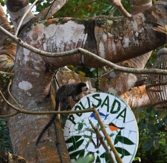 Caraiva Hotel | Discover Pousada Habitat Caraiva: Family-Friendly Retreat