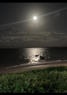 Tutoia Hotel | Discover Pousada Lua Branca: Pet-Friendly Oceanview Retreat