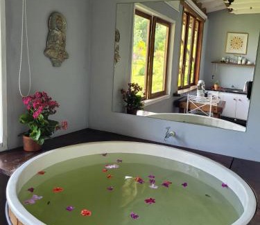 Aiuruoca Hotel | Relax at Pousada Mandala das Águas with Oceanfront Bliss