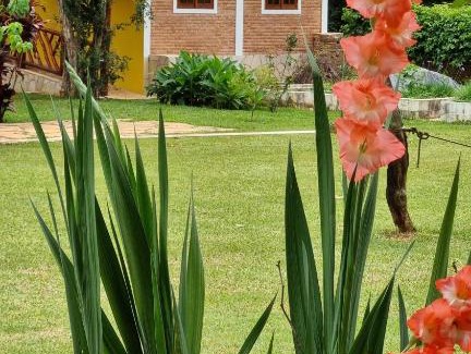 Southeast Region Hotel | Top-Rated Stay at Pousada Muro de Pedra with Family Amenities