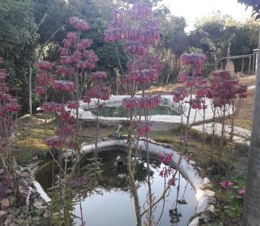 Sao Thome das Letras Hotel | Discover Pousada Natureza: Relaxing Stay with Pool Access