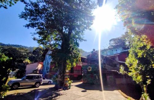 Trindade Hotel | Discover Pousada Naturale: Pet-Friendly Ocean View Retreat