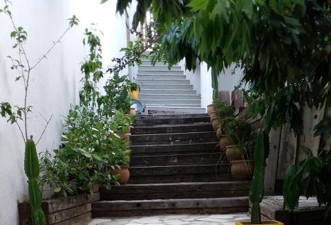 Pero Hotel | Guest Rated 10/10: Pousada Passagem dos Papagaios Retreat