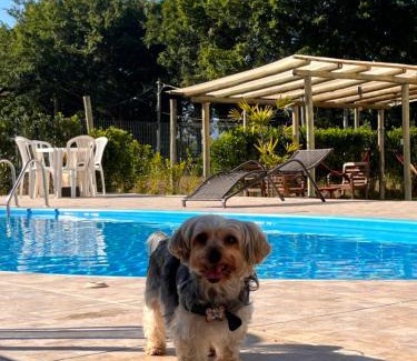 Portal das Artes Hotel | Pet-Friendly Pousada Portal de Paraty with Pool Access