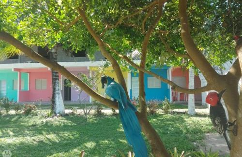 Armacao do Tairu Hotel | Pet Friendly Getaway at Pousada Praia de Tairu