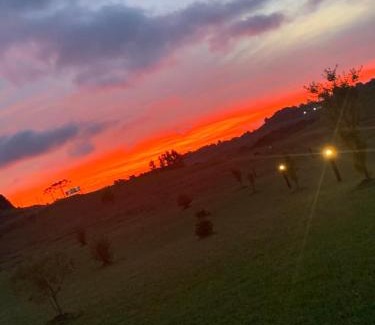 Sao Joaquim Hotel | Unforgettable Stay at Pousada Querência Tarumã - 10/10 Rated