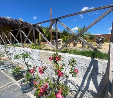 Tutoia House | Pet-Friendly Pousada Rancho Sol Nascente with High Ratings