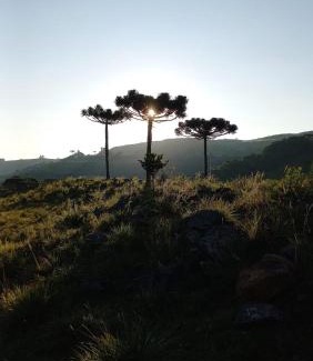 Sao Joaquim Cabin | Pet-Friendly Retreat at Pousada Recanto da Cascata