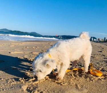 Itacolomi Apartment | Unforgettable Stay at Pousada Recanto da Sereia - 4 Stars