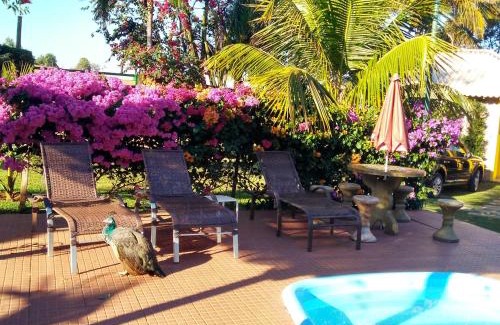 Olimpia Hotel | Oceanfront Pousada Recanto Do Sussego with Pool & Views
