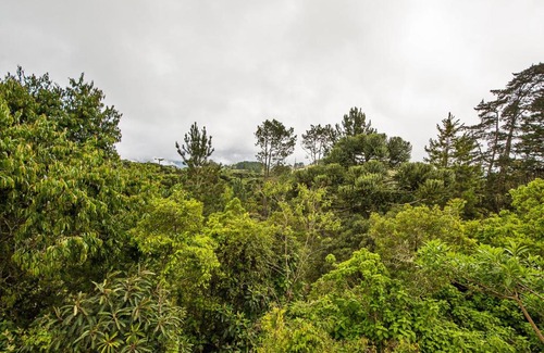 Campos do Jordao Hotel | Rated 10/10: Pousada Recanto São Benedito with Hot Tub