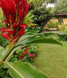Barra do Sahy Hotel | Cozy Retreat at Pousada Refugio Port Sahy with Ocean View