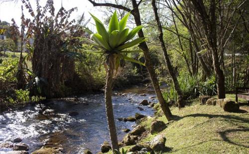 Goncalves Hotel | Oceanfront Retreat at Riacho Das Pedras Pousada