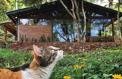 Monte Alegre do Sul House | Pousada Sítio Canto D`Água