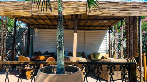 Praia do Frances Hotel | Pet-Friendly Pousada Sapê with Oceanfront Views & Pool
