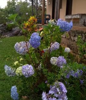 Sao Goncalo do Rio das Pedras Hotel | Discover Pousada Sempre Viva: Pet-Friendly & Family Fun
