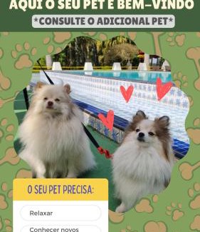 Sao Roque Hotel | Pet-Friendly Escape at Pousada Serra das Araucárias