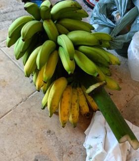 Praia de Aracatiba House | Seaside Escape at Pousada Sobre a Rocha with Pet-Friendly Perks
