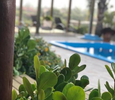 Praia do Rosa Hotel | Experience Oceanfront Bliss at Pousada Sol do Rosa