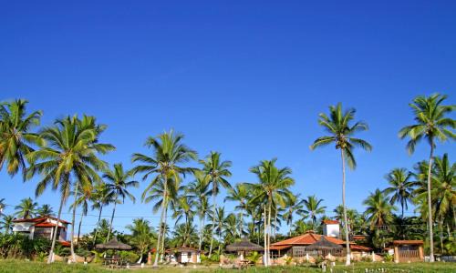 Canavieiras Hotel | Pousada Stella Maris: Oceanfront Retreat with Pool Access
