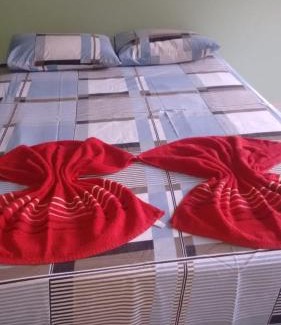 Alter do Chao Hotel | Ocean View Retreat at Pousada Tropicaliente: Rated 9/10