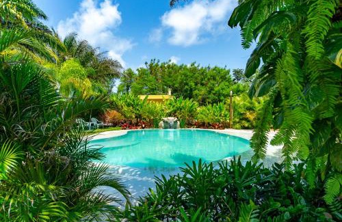 Itacimirim Hotel | Elegant Oceanfront Escape at Pousada Tropicarim