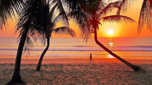 Jardim Oceania Bed & Breakfast | Ocean View Hotel Paraiso: Rated 9/10, Family Friendly Stay