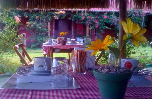 Sao Miguel de Touros Hotel | Ocean View Escape at Pousada Vila Sol - Guest Rated 10/10