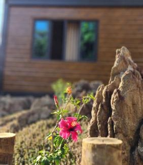 Cavalcante House | Exceptional Oceanfront Stay at Pousada Vilas Boas