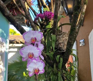 Cananeia Hotel | Oceanfront Retreat at Pousada Villa de Cananea - 9/10 Rating