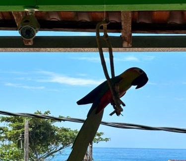 Trindade Hotel | Pouso da Celeste - Trindade: Family-Friendly Retreat
