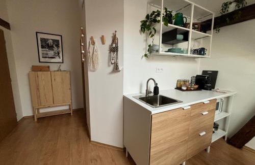 Zilina Apartment | Convenient Hotel with Parking in Historic Old Town